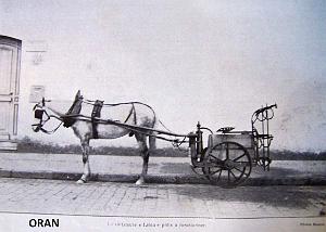 Oran 037